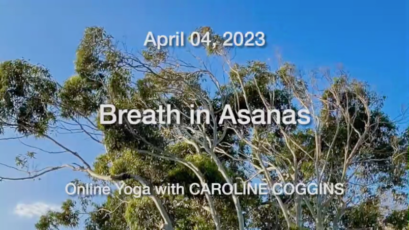 CC_2023-04-04 Breath in Asanas